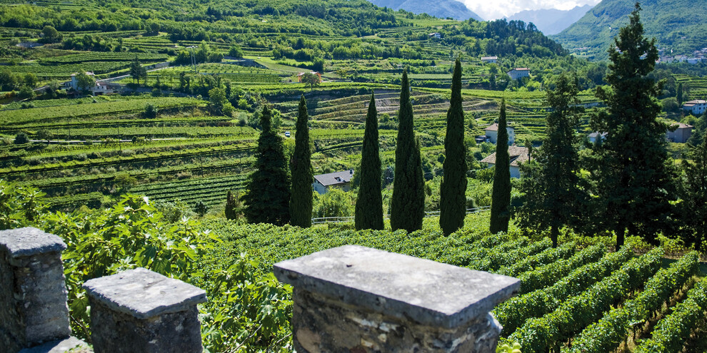 Altopiano di Brentonico, der Talpina Weg 