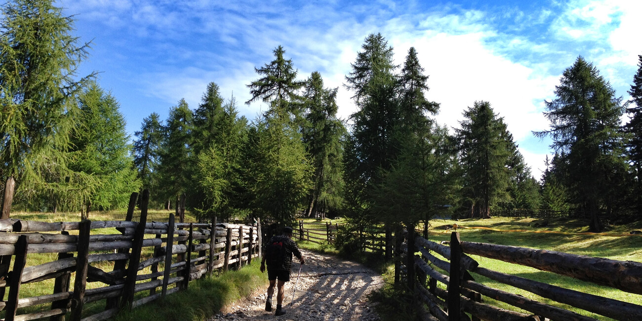 Castelfondo  #1
