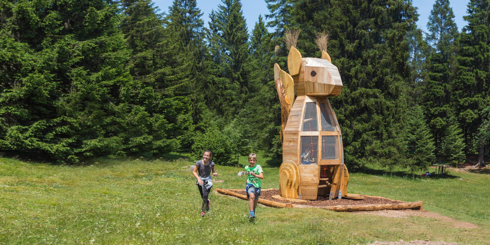 Sulle orme dello scoiattolo Sciury - Dolomiti Paganella