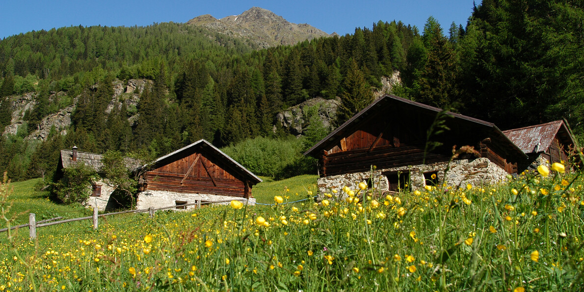 Masi Palù Val di Pejo - APT Val di Sole - photo T.Mochen | © Masi Palù Val di Pejo - APT Val di Sole - photo T.Mochen