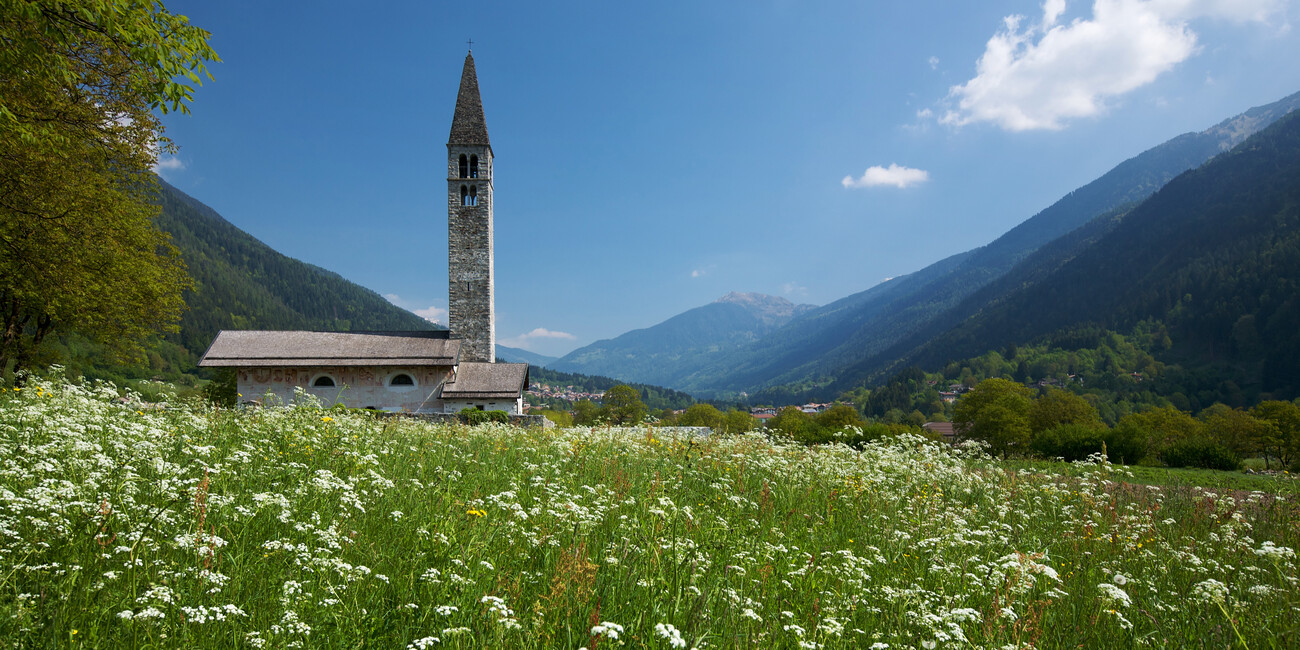 Chiesa di S. Antonio Abate  #1