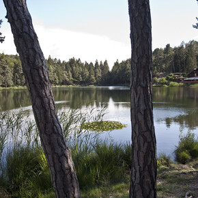 APT Pine Cembra - Lago di Santa Colomba - ph N. Berton | © APT Pine Cembra - Lago di Santa Colomba - ph N. Berton