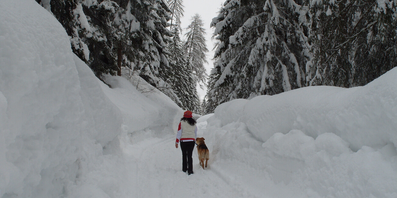 Rabbi   #5 | © APT Val di Sole - Rabbi in inverno - ph. D. Andreis