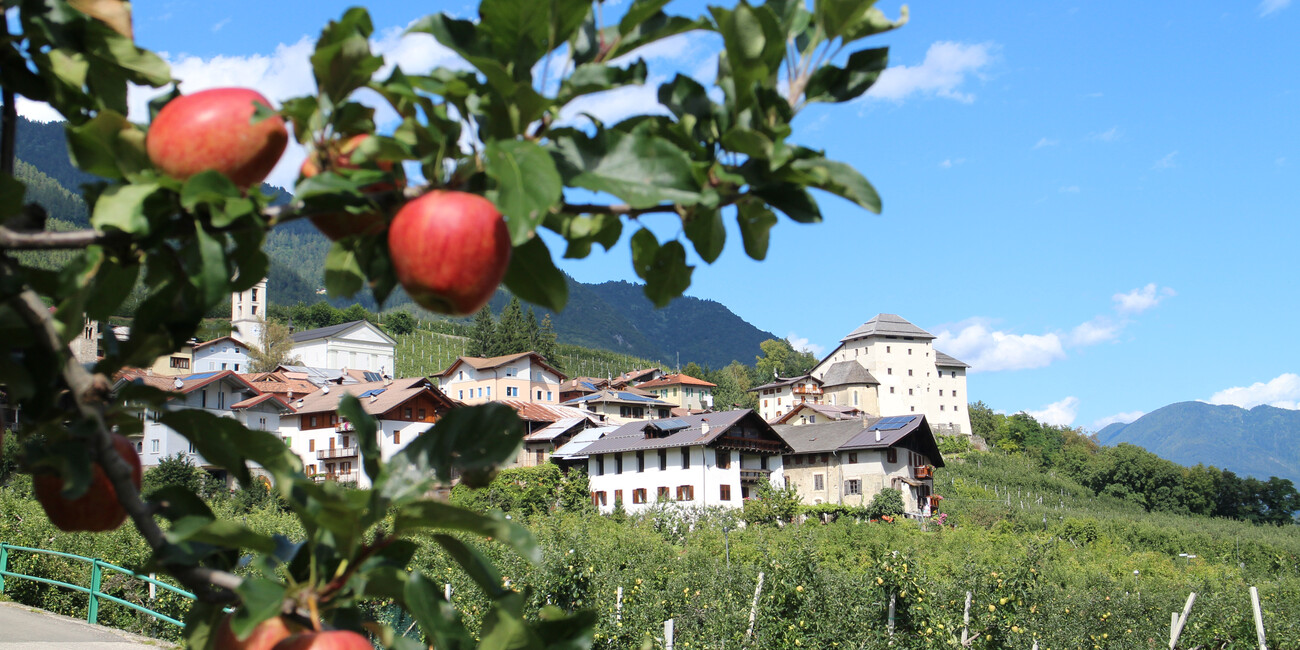 Cavizzana   #1 | © APT Val di Sole - Castel Caldes - ph. Dario Andreis