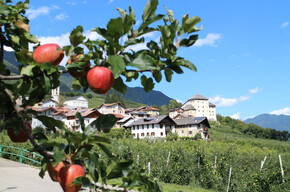 APT Val di Sole - Castel Caldes - ph. Dario Andreis | © APT Val di Sole - Castel Caldes - ph. Dario Andreis