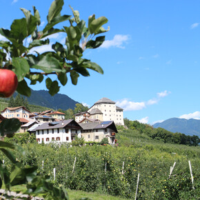APT Val di Sole - Castel Caldes - ph. Dario Andreis | © APT Val di Sole - Castel Caldes - ph. Dario Andreis