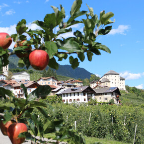 APT Val di Sole - Castel Caldes - ph. Dario Andreis | © APT Val di Sole - Castel Caldes - ph. Dario Andreis