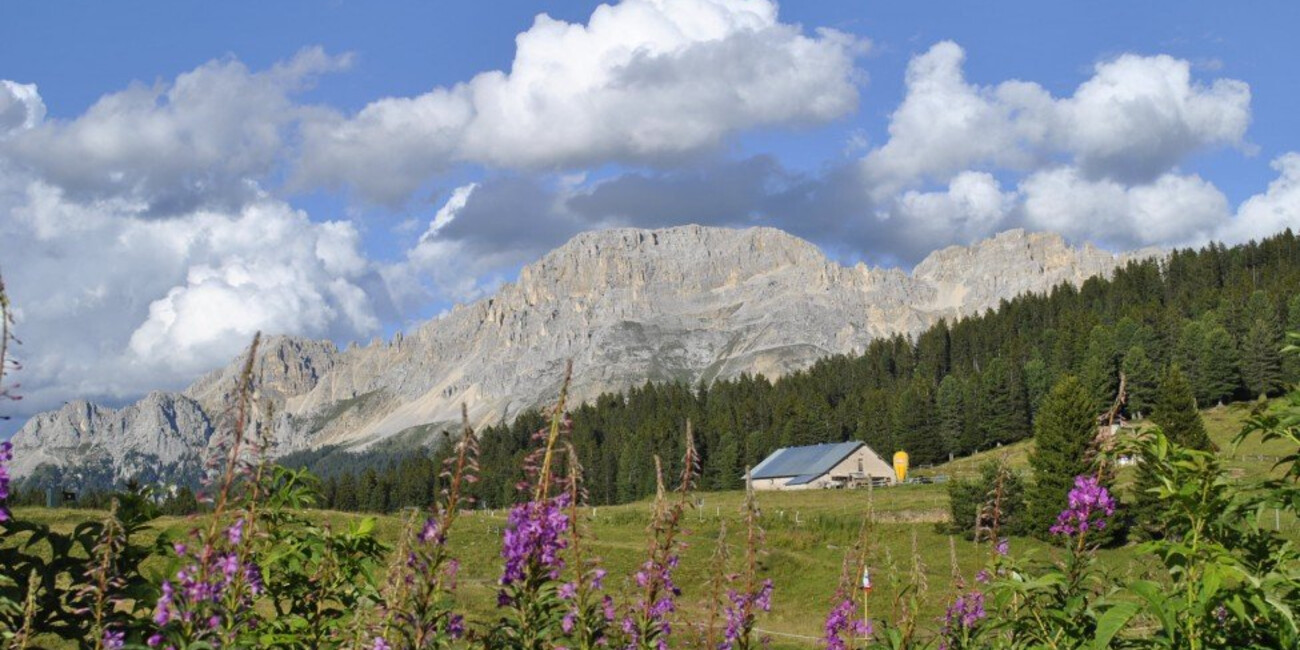 Passo di Lavazè  #1