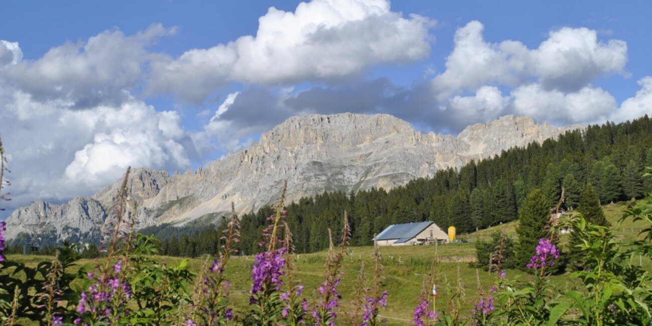 Passo di Lavazè  #2