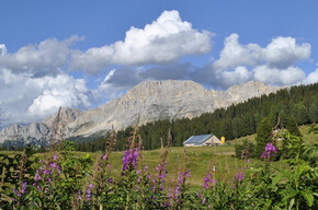 Passo Lavazè