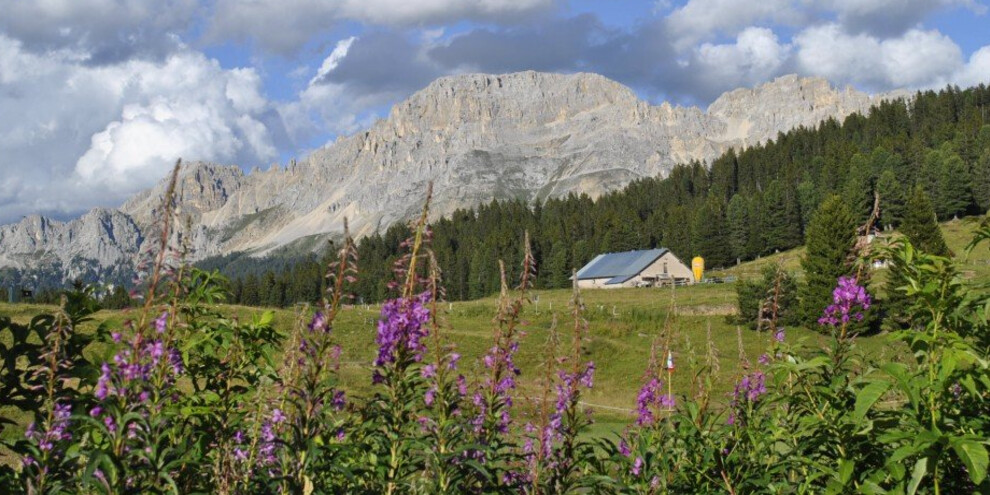 Passo Lavazè