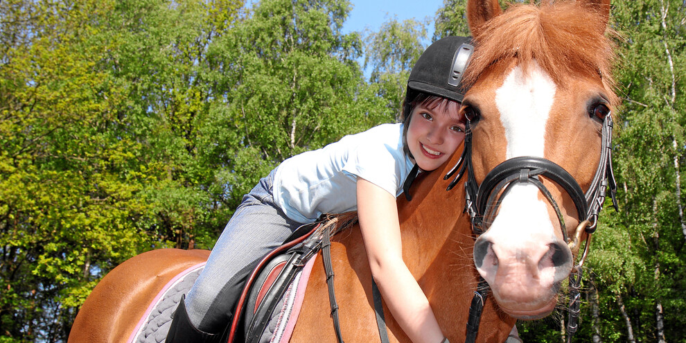 Horse tours