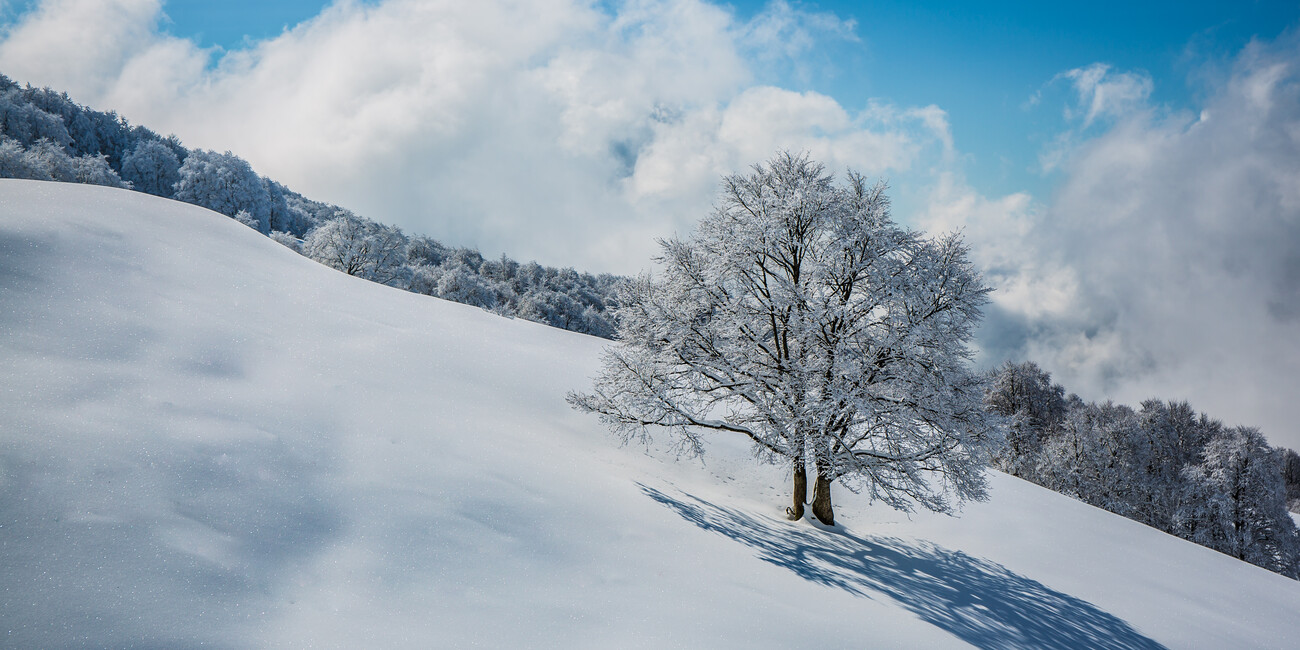 Riserva Bès Corna Piana  #2 | © Ph. Tommaso Prugnola