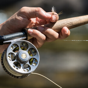 Permessi di pesca