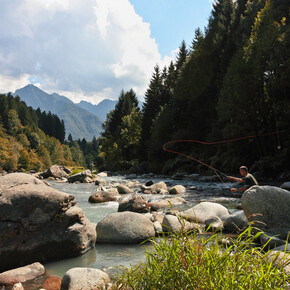Vang meer vis in de herfst!