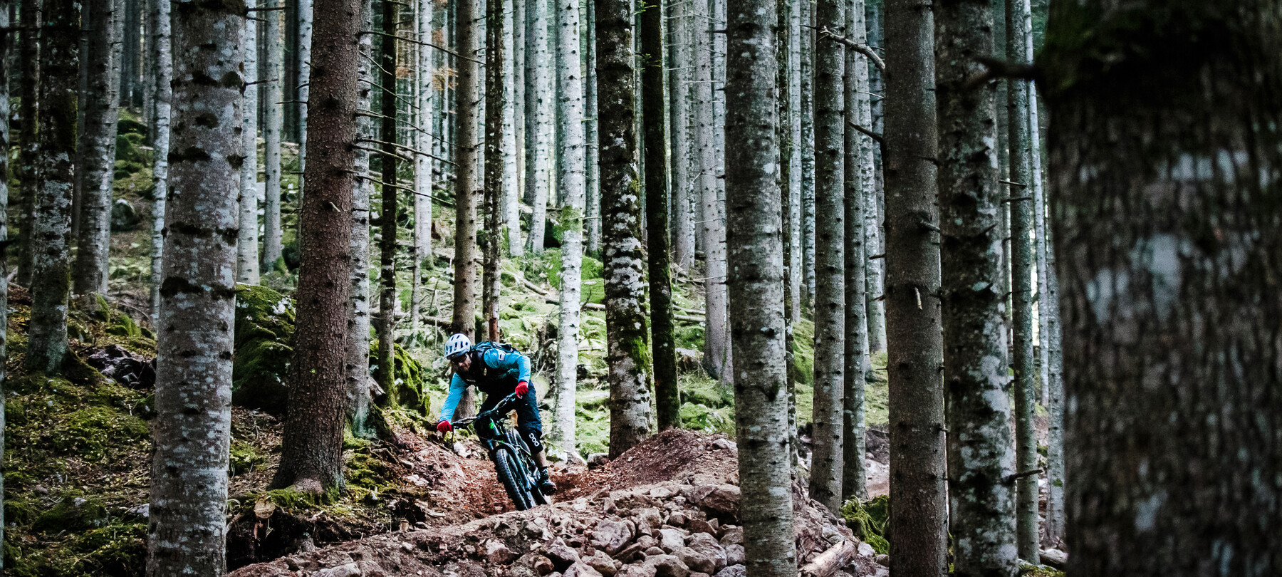 Ontdek Trentino op een E-bike 
