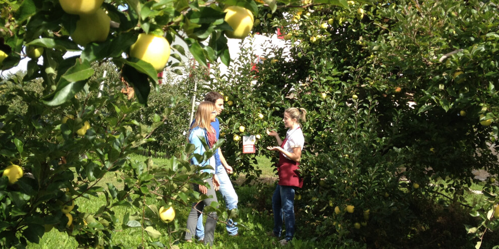 Een appel per dag…