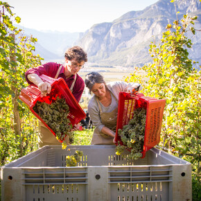 Autumn with taste in Trentino