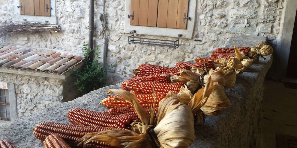 Natuur, kunst en smaken in Comano