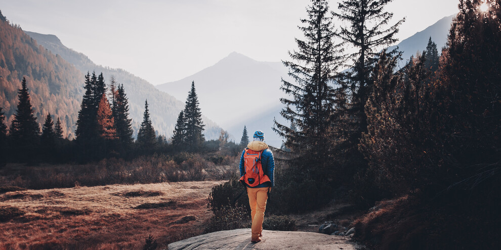 Uncovering the forest’s secrets