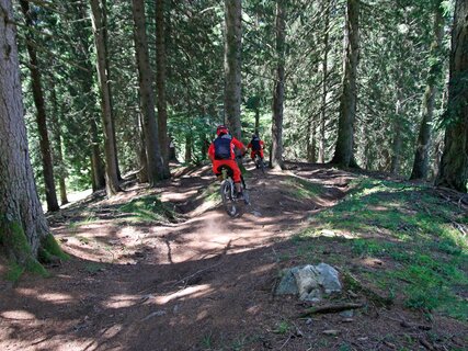 Brenta Bike Park