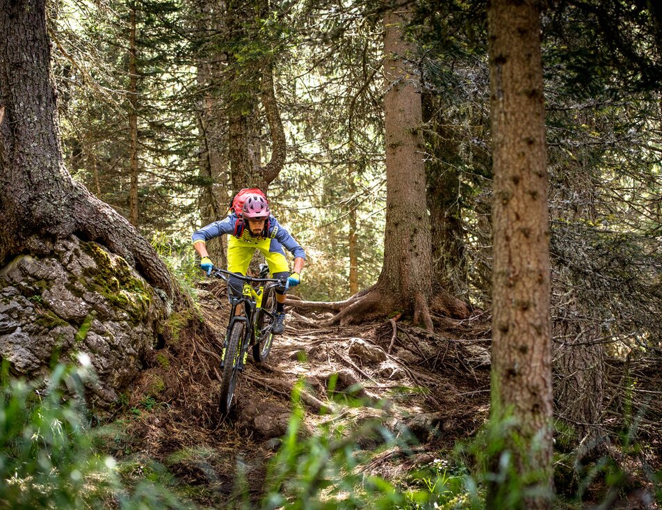 Fassa Bike Park