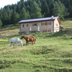 MALGA ZOCCHI