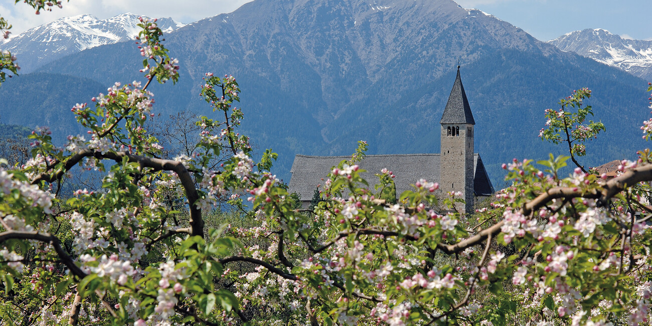 Sanzeno #4