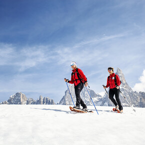 Walks on the snow