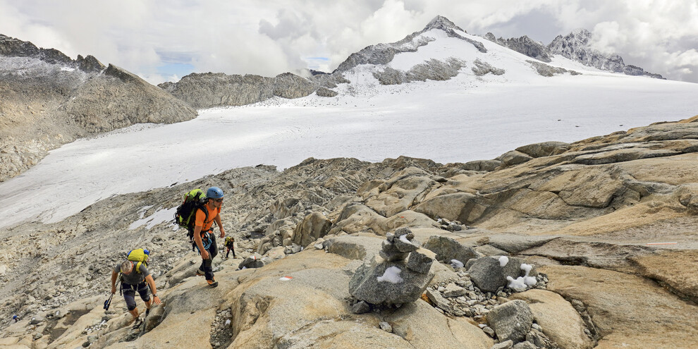 Дорога мира 