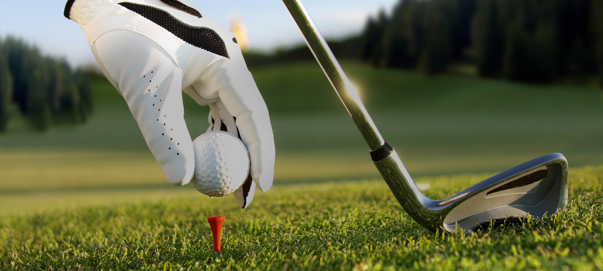 A sophisticated sport