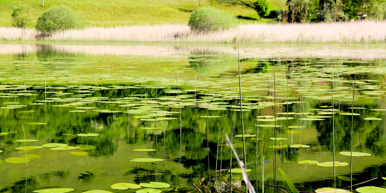 Lago d'Ampola #3