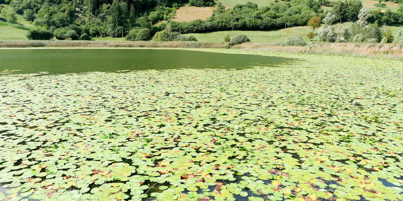 Lago d'Ampola #4