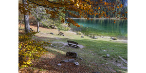 Il lago di Tovel si trova vicino a Trento Il lago di Tovel si trova vicino a Trento