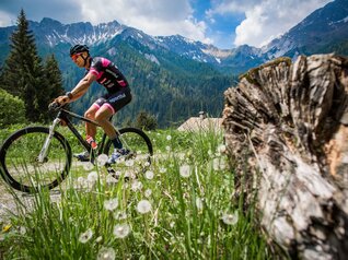 Валли-Джудикарие и Валле-дель-Кьезе