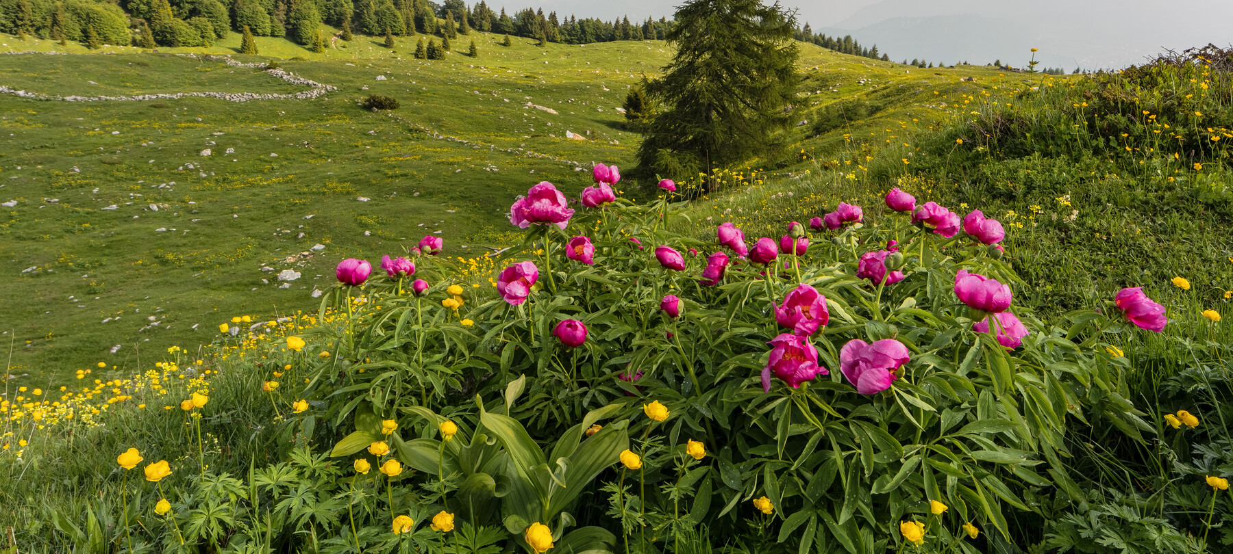 What to do in spring in Rovereto and Vallagarina