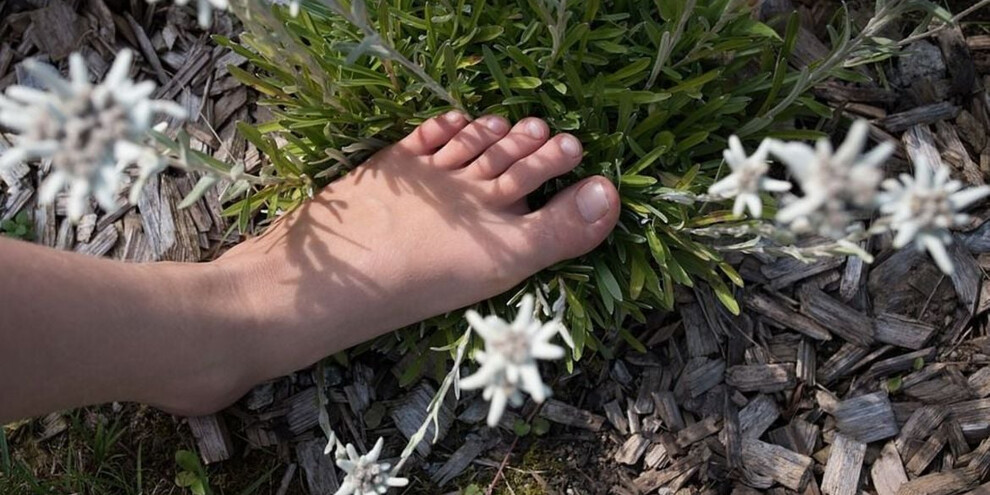 Barefoot walking in the Alpe Cimbra mountains