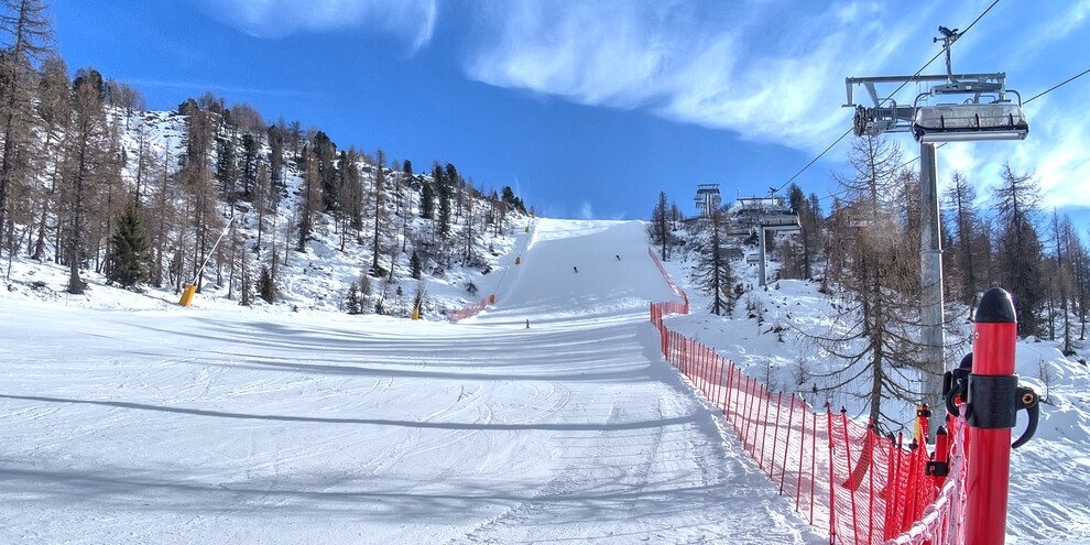 Little Grizzly, Val di Sole