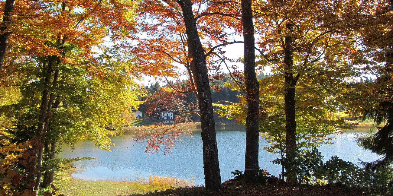 Santo di Cembra Lake #5 | © Lago Santo - APT Piné Cembra - ph. Annamaria Pascali