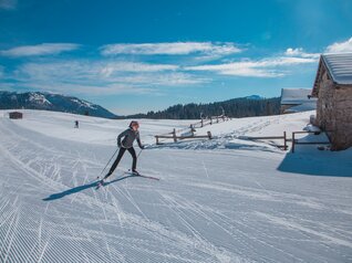 Sci nordico Passo Coe | © marco gober