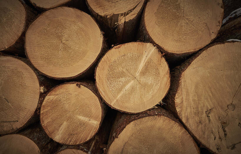 Sind Sie ein nachhaltiger Tourist?