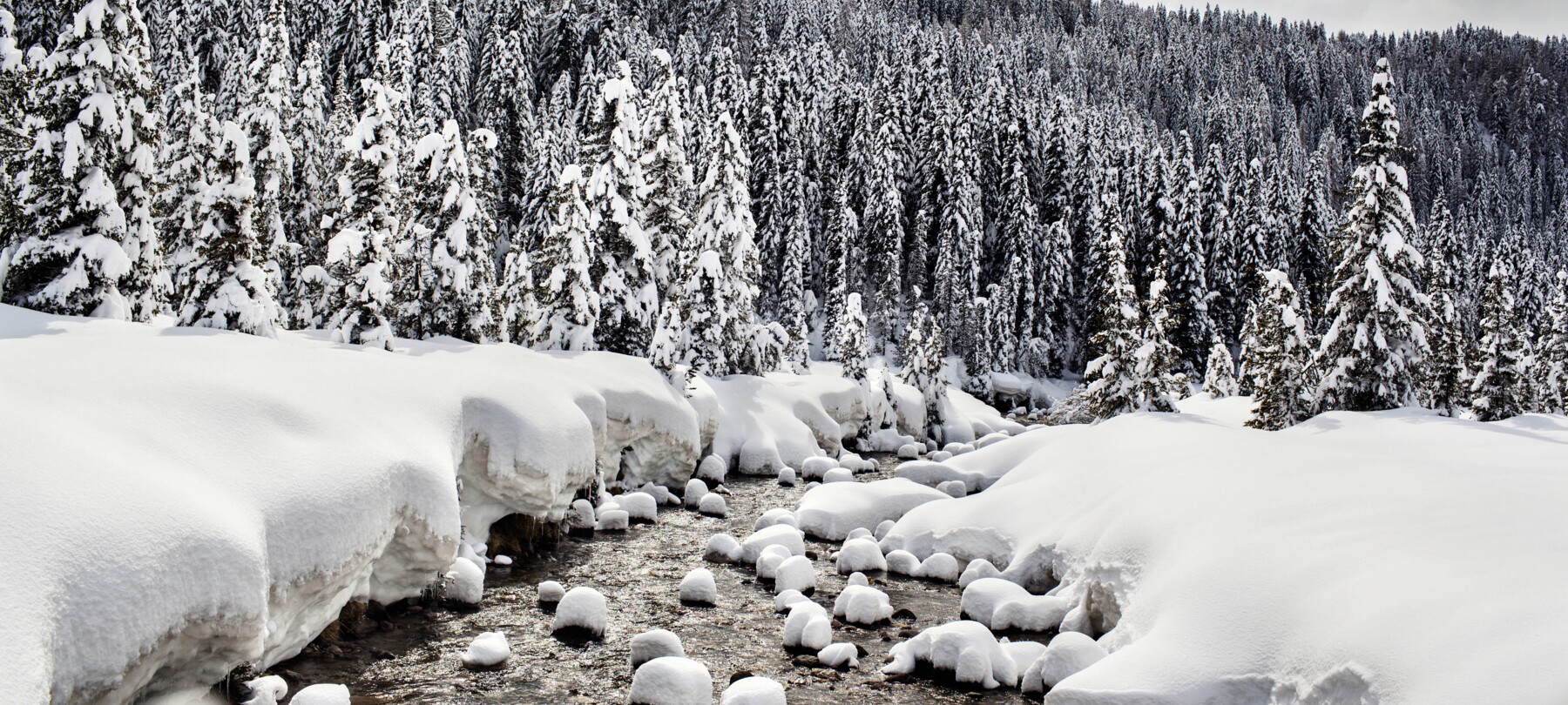 Boschi in Trentino: che suono fanno in inverno?