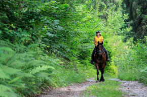 Azienda agricola Gottardi Lara  | © Foto di Alessandra Dagostino