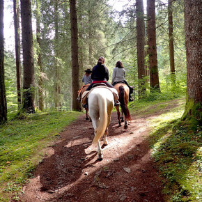 Escursioni a cavallo Horse Trekking | © Foto archivio Apt Madonna di Campiglio