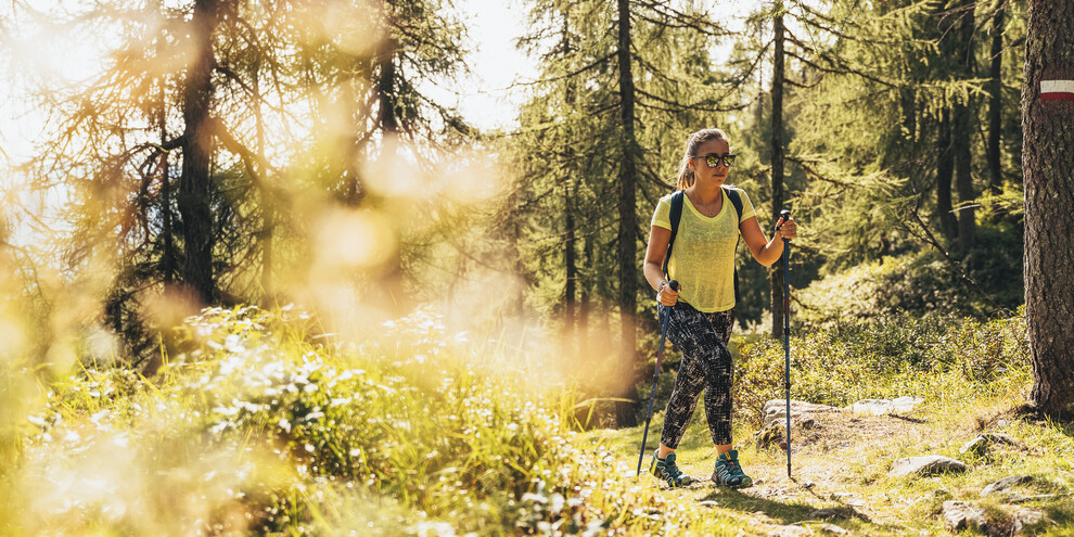 Dolomiti - trekking nel bosco