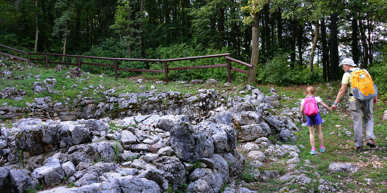 Archaeological Site Doss Castel #2