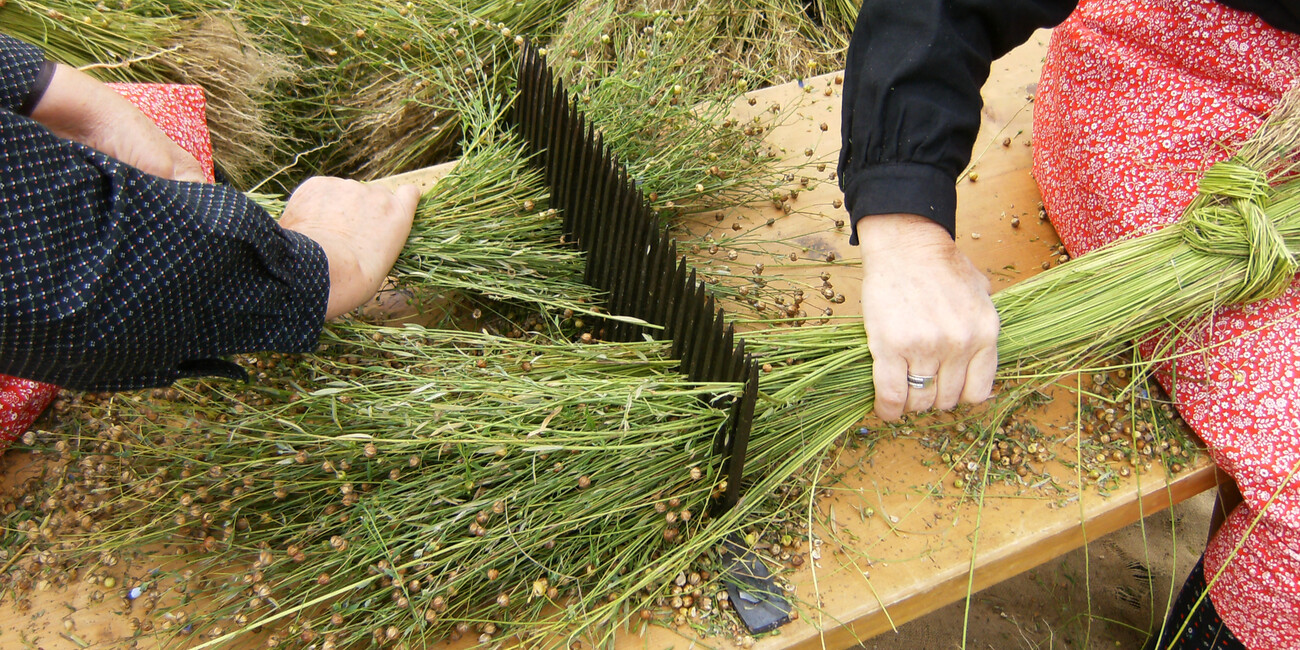 Ecomuseo della Val di Peio ‘Piccolo Mondo alpino’ #1 | © Foto Archivio Apt Val di Sole