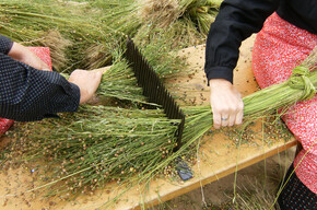 Ecomuseo della Val di Peio | © Foto Archivio Apt Val di Sole
