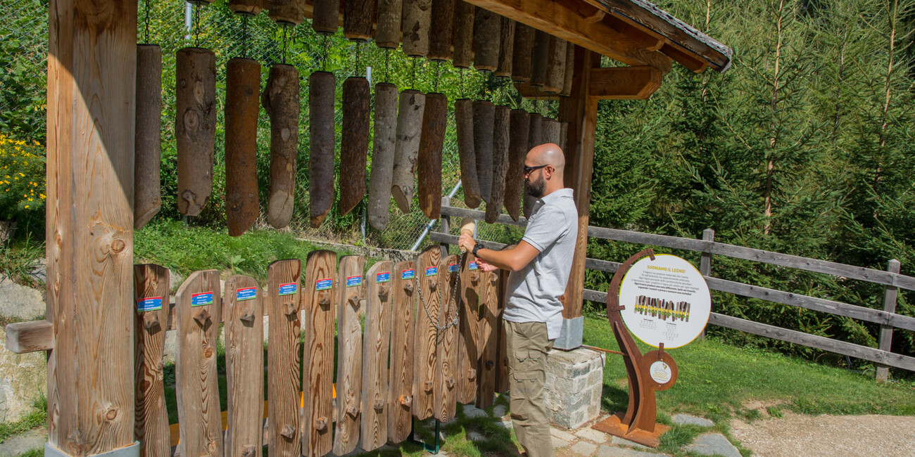 Boscoderniga #2 | © Foto Archivio Apt Val di Sole