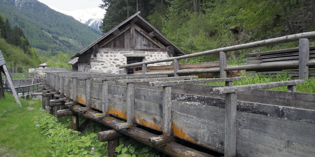 Segherie dei Braghje e dei Bègoi #5 | © Foto Archivio Apt Val di Sole